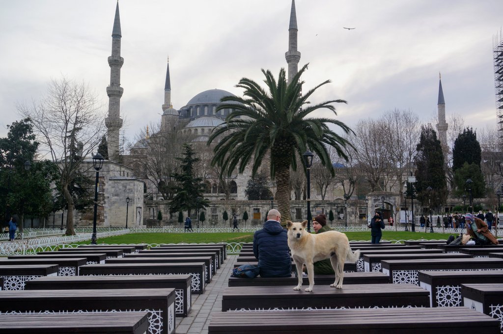 Великолепный Стамбул в коронавирусную эпоху. Январь 2021 года.